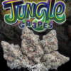 BUY JUNGLE GRAPES ONLINE