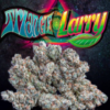 Buy Triangle Larry Cannabis Strain