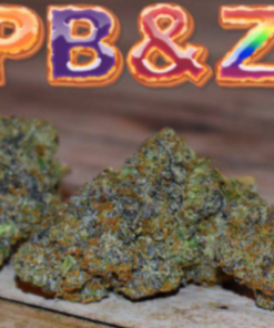 BUY ZKITTLEZ STRAIN ONLINE