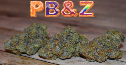 BUY ZKITTLEZ STRAIN ONLINE