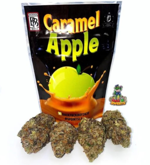 Buy Caramel Apple Backpack boyz Online