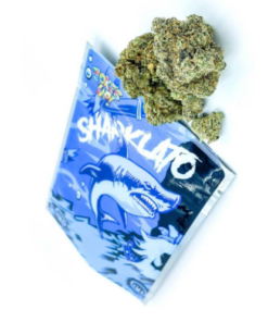 Buy Sharklato Exotic Strain